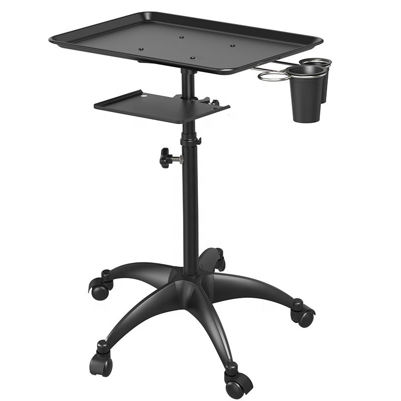 Multifunctional Steel Material Movable Adjustable Height Detachable Tool Holder Hair Rolling Beauty Spa Salon Tray Cart Trolley