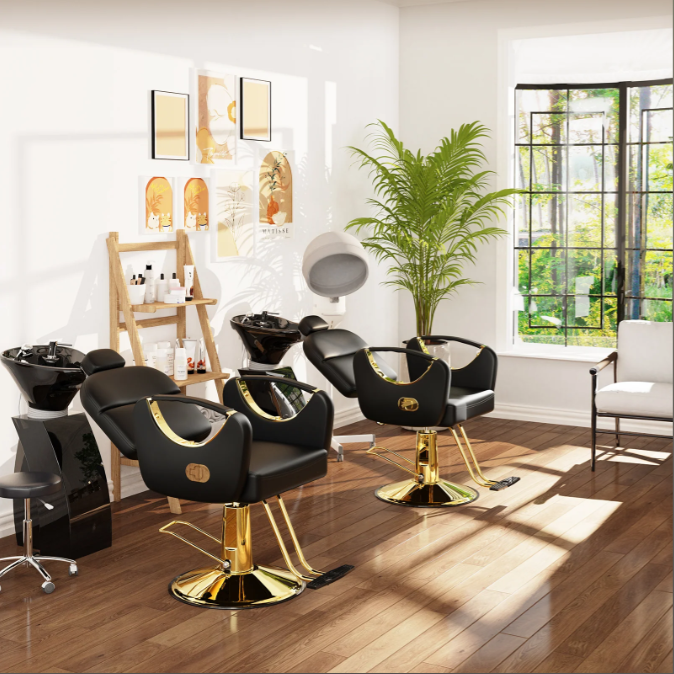 Professional All Purpose Reclining Hydraulic Styling Salon Stainless Steel Frame Elegant Beauty Salon Barber Chair