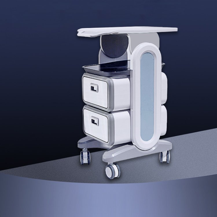 OEM Beauty salon storage rack trolley multifunction equipment tool barber shop moving side cabinet