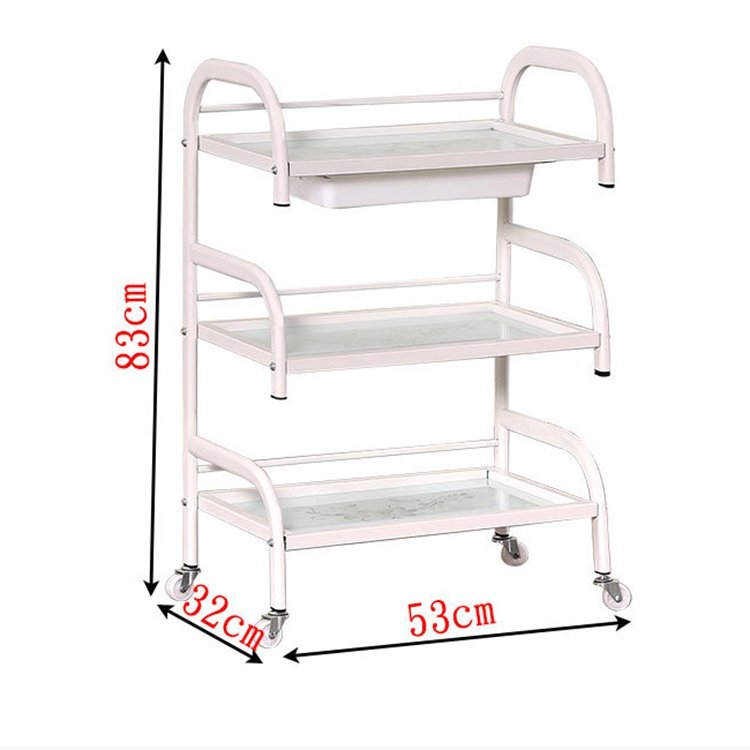 Multi-functional beauty salon storage trolley Movable Three-layer shelf SPA Tattoo Hairdresser Barber Tool cart