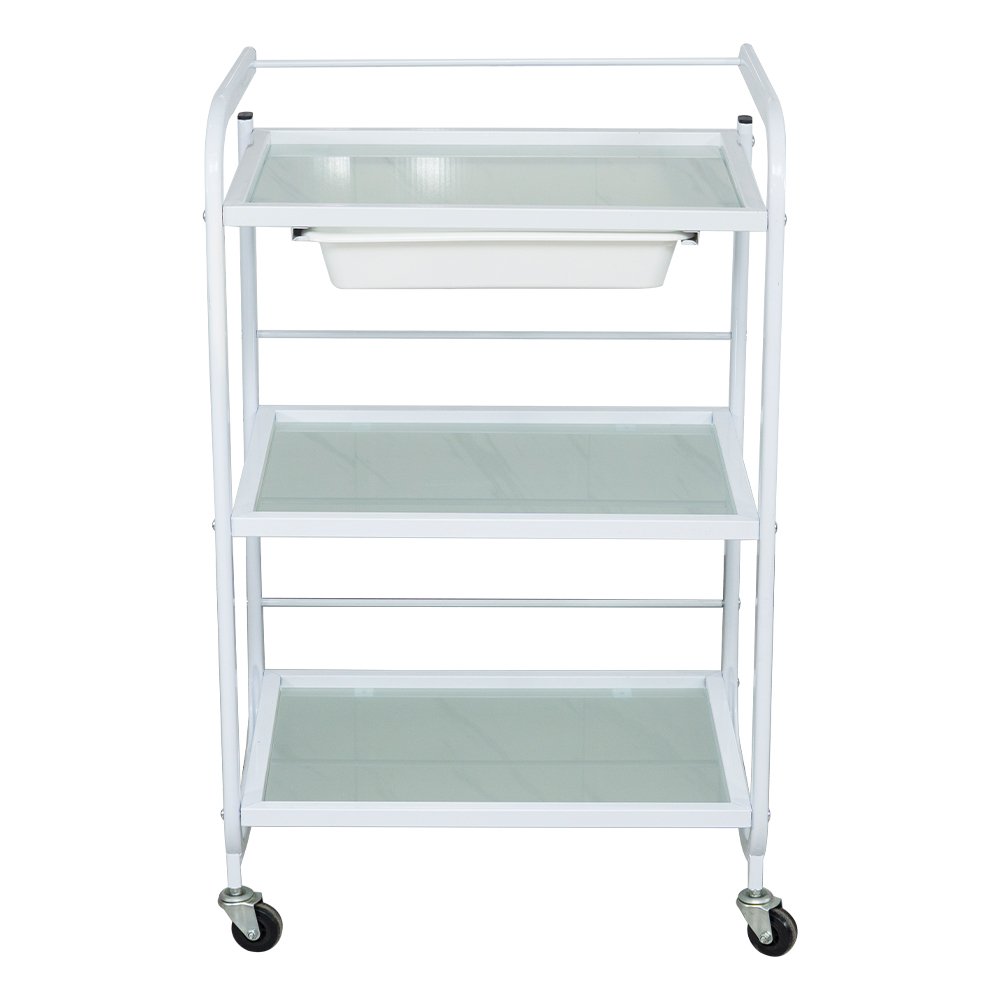 aimeigao Beauty salon furniture spa salon trolley rolling cart beauty trolley with wheel R-216