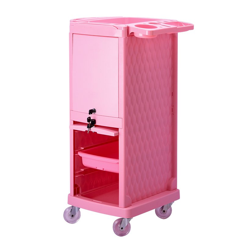 Modern Pink Salon Furniture Rolling Wheels Hairdressing Barber Used Cart Storage Trolley Plastic Hair Salon Furniture China Bois