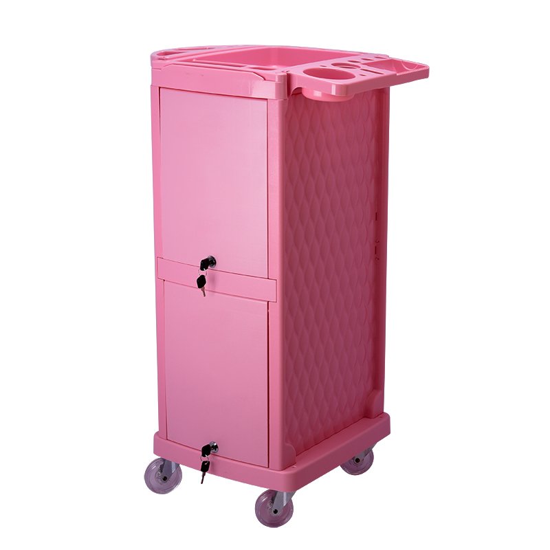 Modern Pink Salon Furniture Rolling Wheels Hairdressing Barber Used Cart Storage Trolley Plastic Hair Salon Furniture China Bois