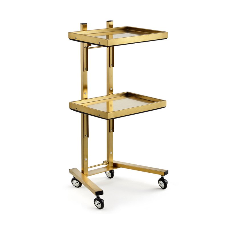 HICOMED High Quality Stainless Steel Salon Beauty Cart Foldable Multi-function Beauty Trolley