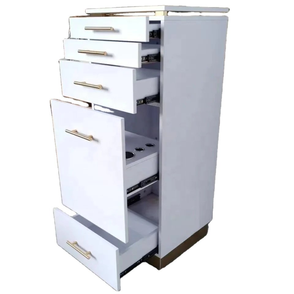 Europe standard hair salon storage cabinet tool master chest & cabinet professional tool cabinet Professional china Supplier