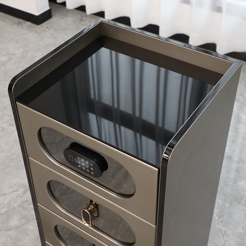 High Quality Light Luxury Hair Salon Trolley Multi-Use Salon Machine Cabinets for Living Room Hospital & Bathroom