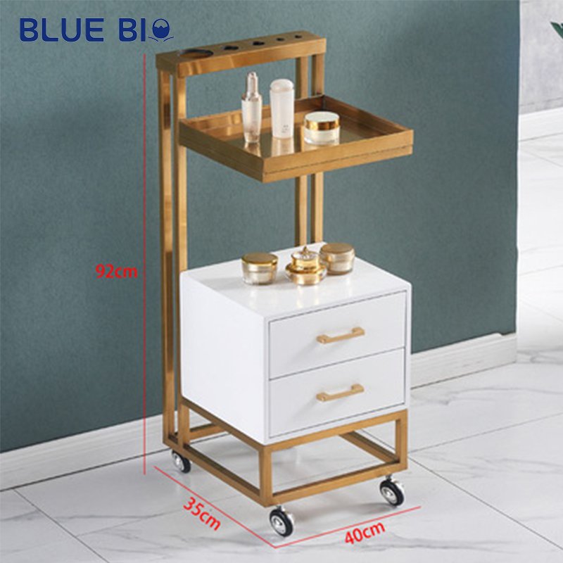 Modern Beauty Salon Furniture Golden Spa Hair Stool Storage Cabinet Hair Salon Trolley With Drawer