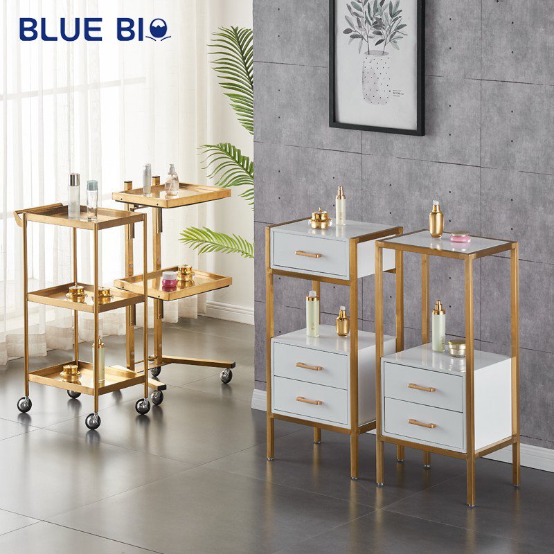 Modern Beauty Salon Furniture Golden Spa Hair Stool Storage Cabinet Hair Salon Trolley With Drawer