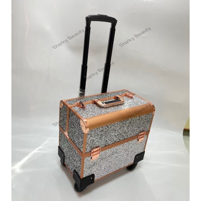 Professional salon Cosmetic Organizer Big Makeup Trolley Travel Train Case nail polish carrying Box