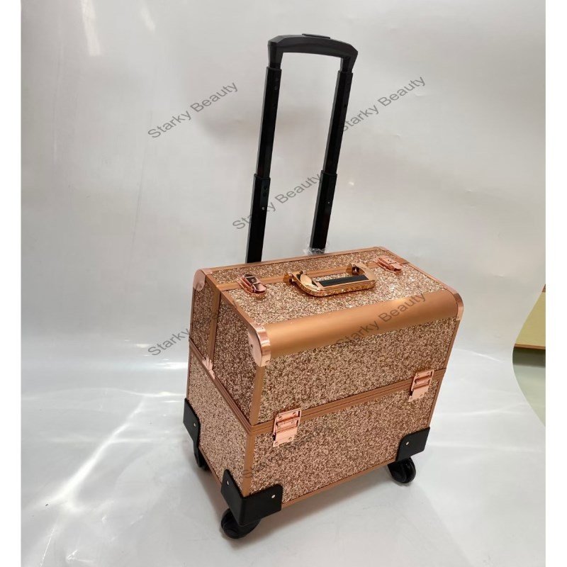 Professional salon Cosmetic Organizer Big Makeup Trolley Travel Train Case nail polish carrying Box