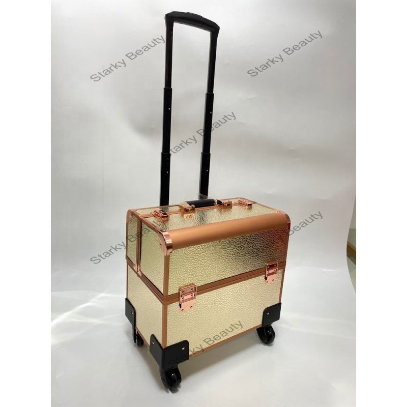 Professional salon Cosmetic Organizer Big Makeup Trolley Travel Train Case nail polish carrying Box
