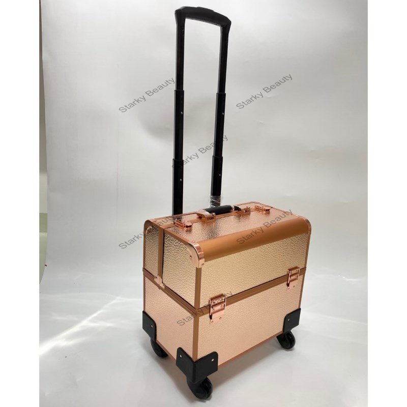 Professional salon Cosmetic Organizer Big Makeup Trolley Travel Train Case nail polish carrying Box
