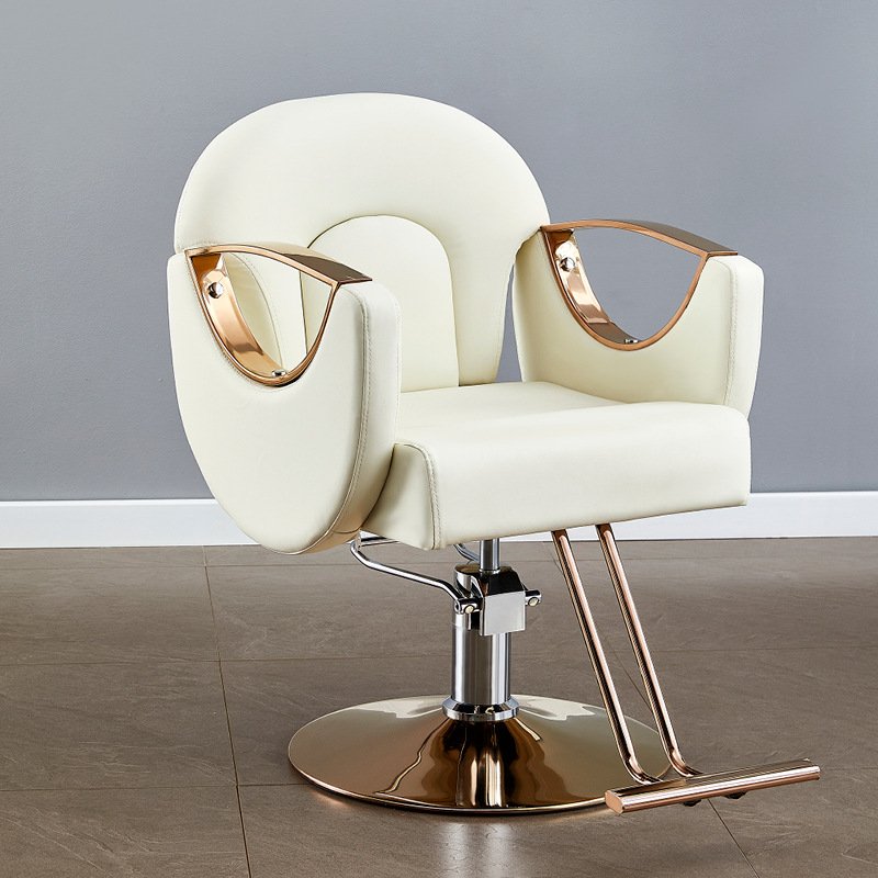 Wallybeauty Modern Styling Chair Gold Stainless Steel Reclining Furniture for Home School Gym Salon Barber Use for Beauty Salons