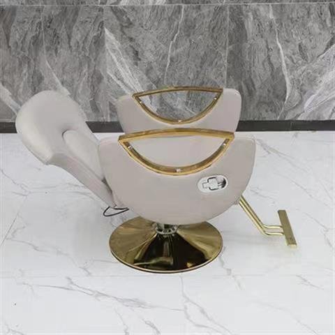 Wallybeauty Modern Styling Chair Gold Stainless Steel Reclining Furniture for Home School Gym Salon Barber Use for Beauty Salons