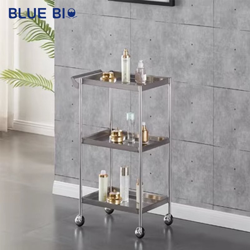 Multi-level Storage Rolling Carts Layered Storage Hairdressing Trolleys Salon Hair Salon Tool Cart Modern Salon Trolley