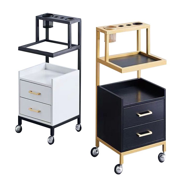 Utility Cart High end Hairdressing Beauty hair mobile salon trolley cart Professional Tool Hair Dryer Storage cabinet Rack