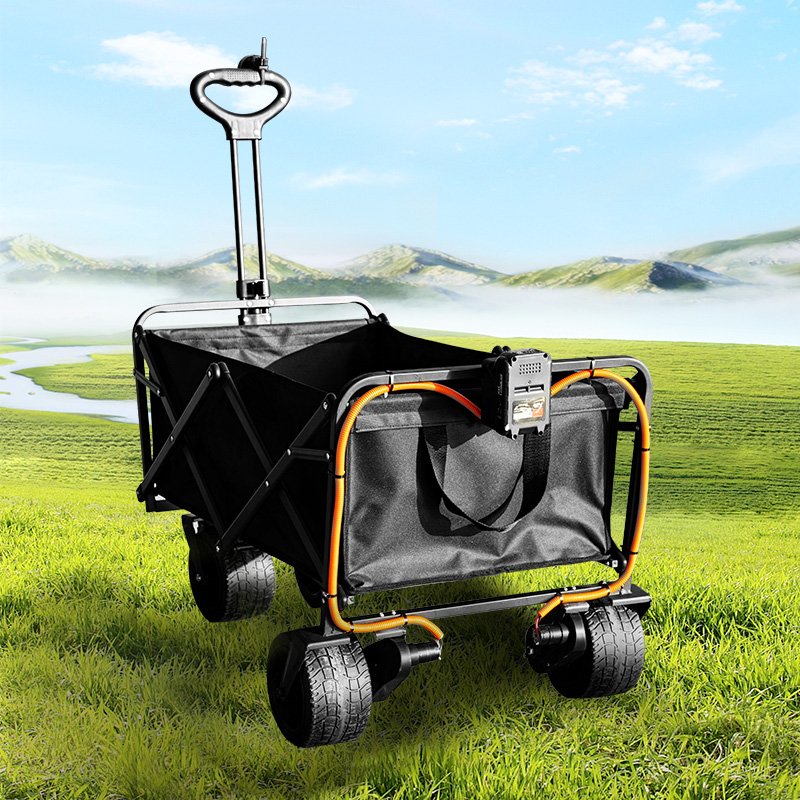 New design "Salon Trolley Electric Golf for wholesales/beach wagon