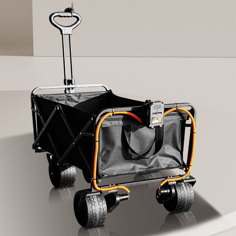 New design "Salon Trolley Electric Golf for wholesales/beach wagon