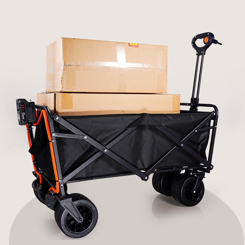New design "Salon Trolley Electric Golf for wholesales/beach wagon