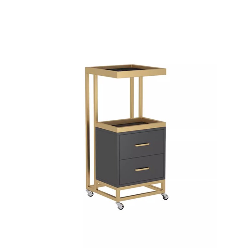 Qunpeng Table-top Beauty Instrument Beauty Salon Special Trolley Bubble Pedestal Support Moving Tool Rack