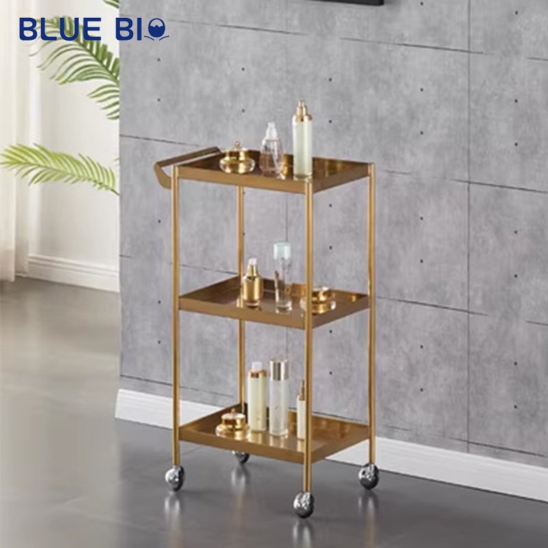 Beauty Hair Salon Furniture Silvery Barber Storage Cart Head Spa Equipment Hairdressing Trolley