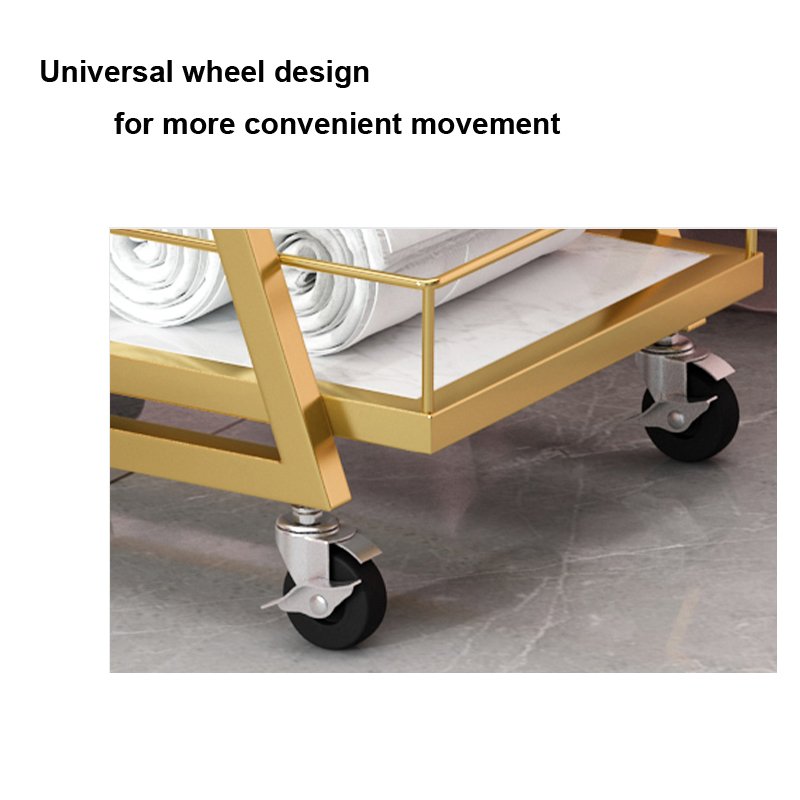 Factory Direct Sales Iron Beauty Tool Car Hair Salon Trolley