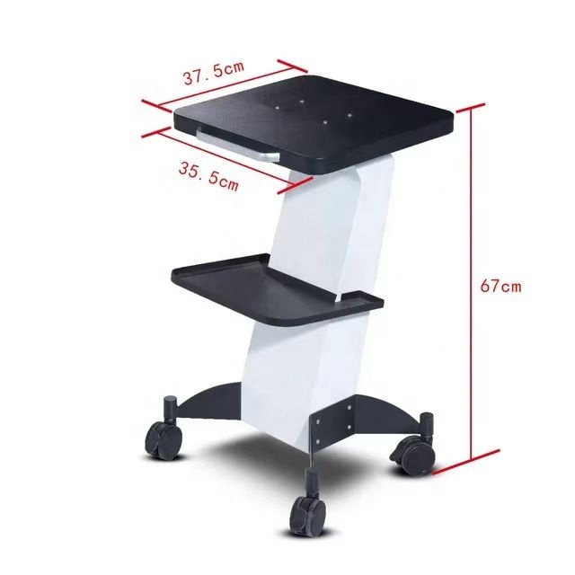 2024 big promotion Professional Facial Beauty Instrument metal trolley carts