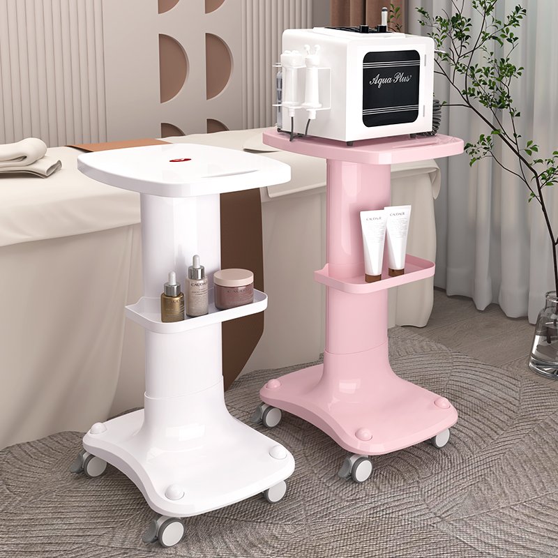 Hot Sale Desktop Beauty Salon Specialized Furniture Salon Trolley Stand Double Layer Wire Winding Design Beauty Equipment Cart