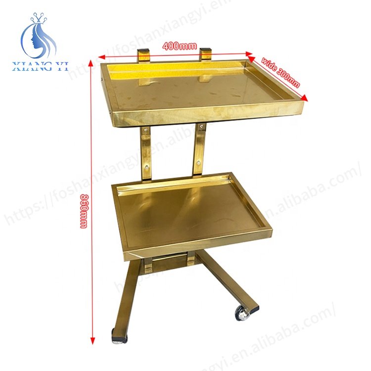 Modern Beauty Makeup Hairdressing Tool Metal Barber Salon Trolley