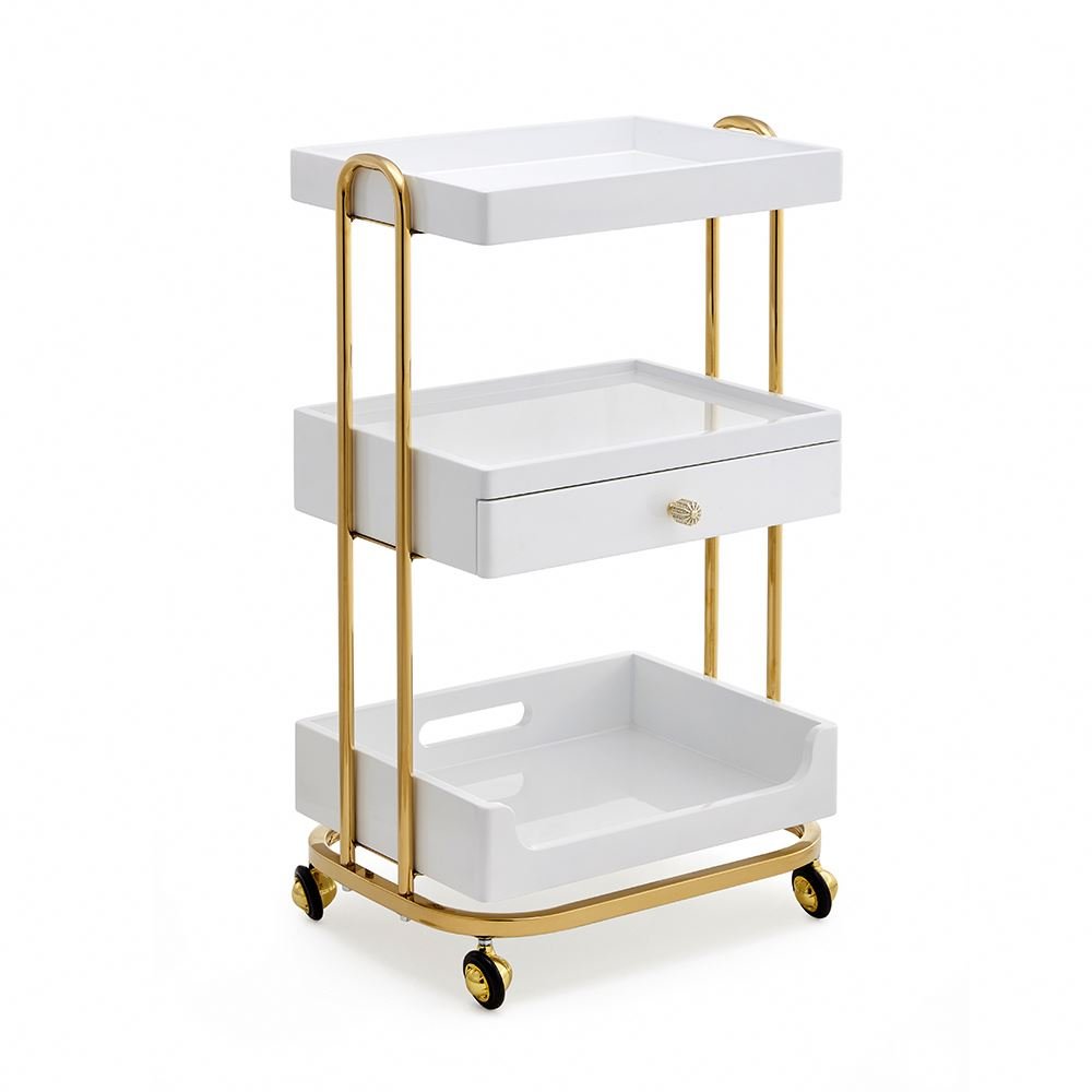 Multi-Functional Beauty Salon Furniture Beauty Cart Shelf Mobile Beauty Spa Trolley