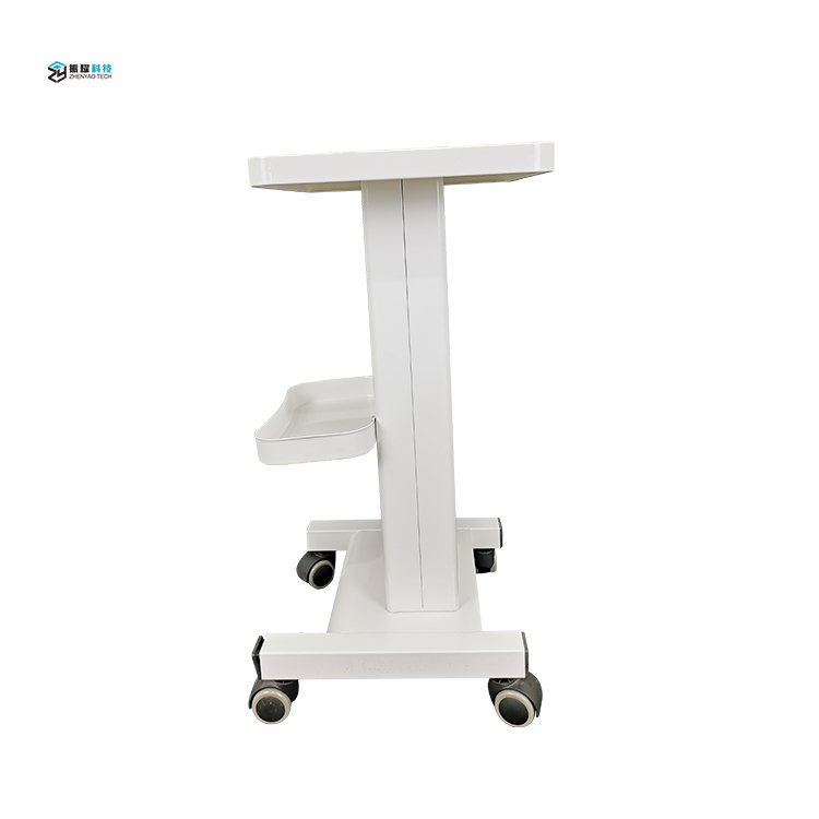 Hot Sale Silent Universal Wheel Beauty Salon Tool Trolley Salon Working Beauty Salon Cart