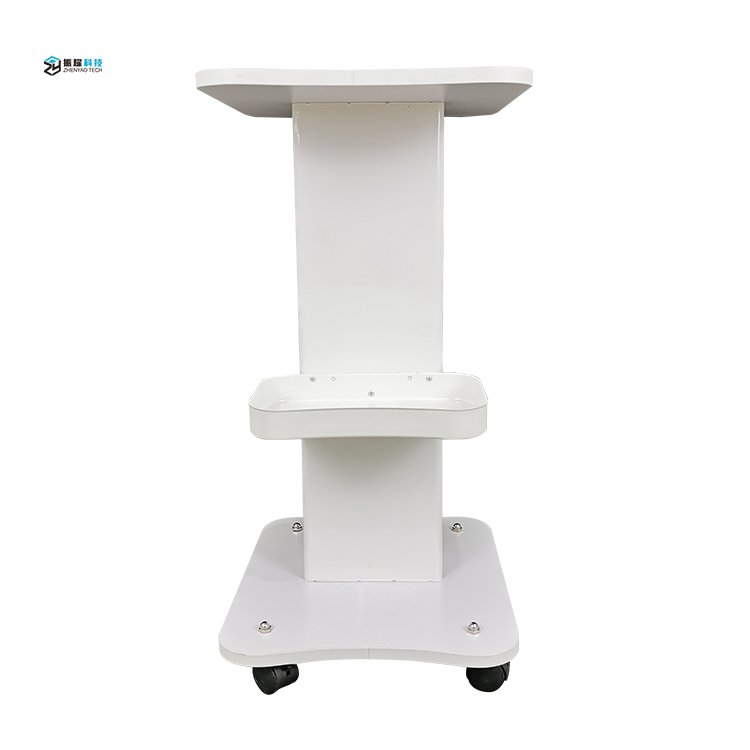 Hot Sale Silent Universal Wheel Beauty Salon Tool Trolley Salon Working Beauty Salon Cart