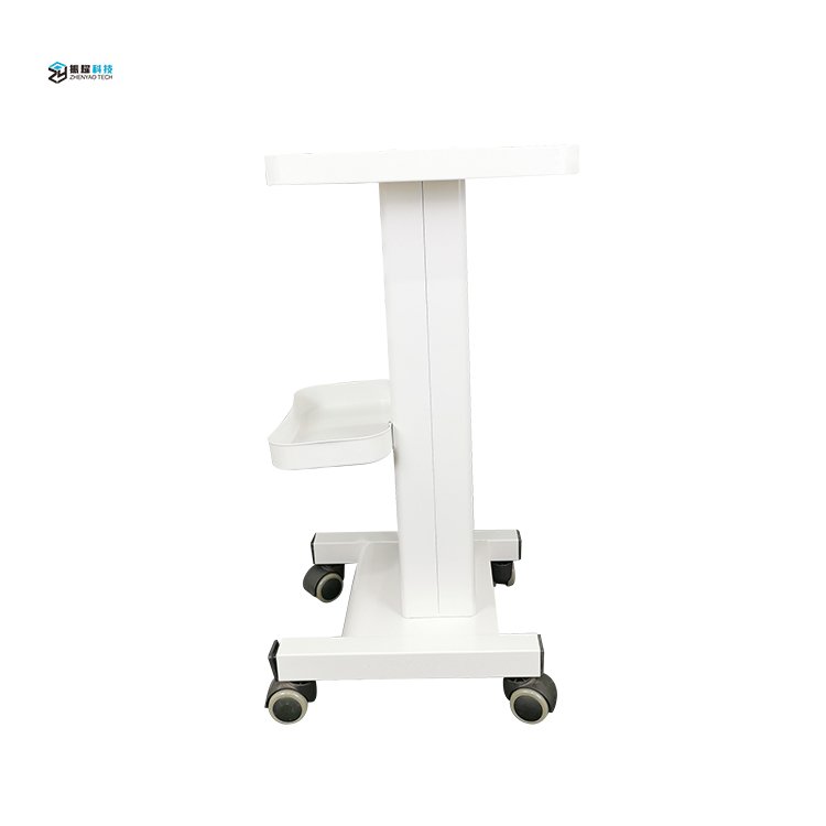 Hot Sale Silent Universal Wheel Beauty Salon Tool Trolley Salon Working Beauty Salon Cart