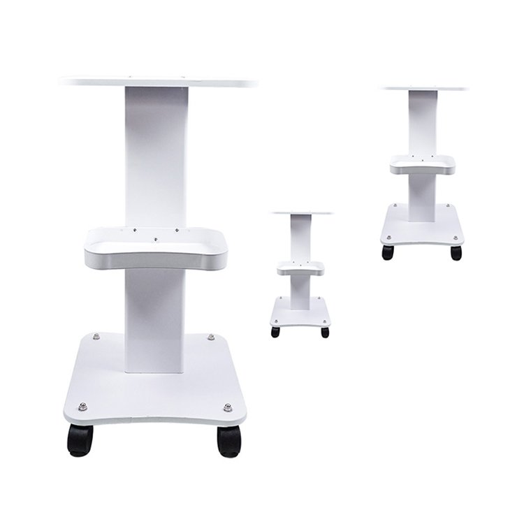 Hot Sale Multifunction Rolling Storage Cart And Organizer Cart Beauty Salon Hospital Hand Carts & Trolley Beauty Rolling Trolley