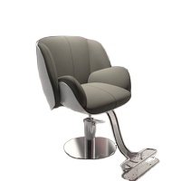Professional Design Barber Chair Factory Hot Selling hair salon special lifting high-end