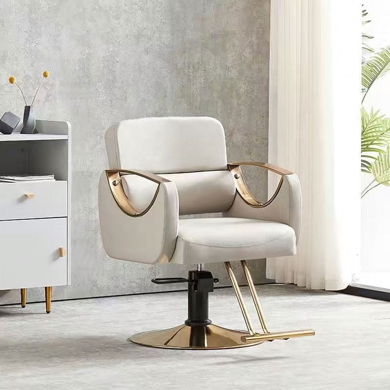 Hot selling modern salon chair beauty salon equipment barber chair salon furniture Up and Down