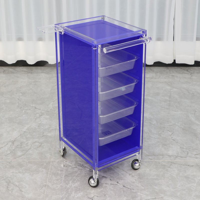 Bojue Hair Salon Tool Cart Multifunctional Tool Cabinet Beauty Barber Shop Hair Stylist Salon Trolley