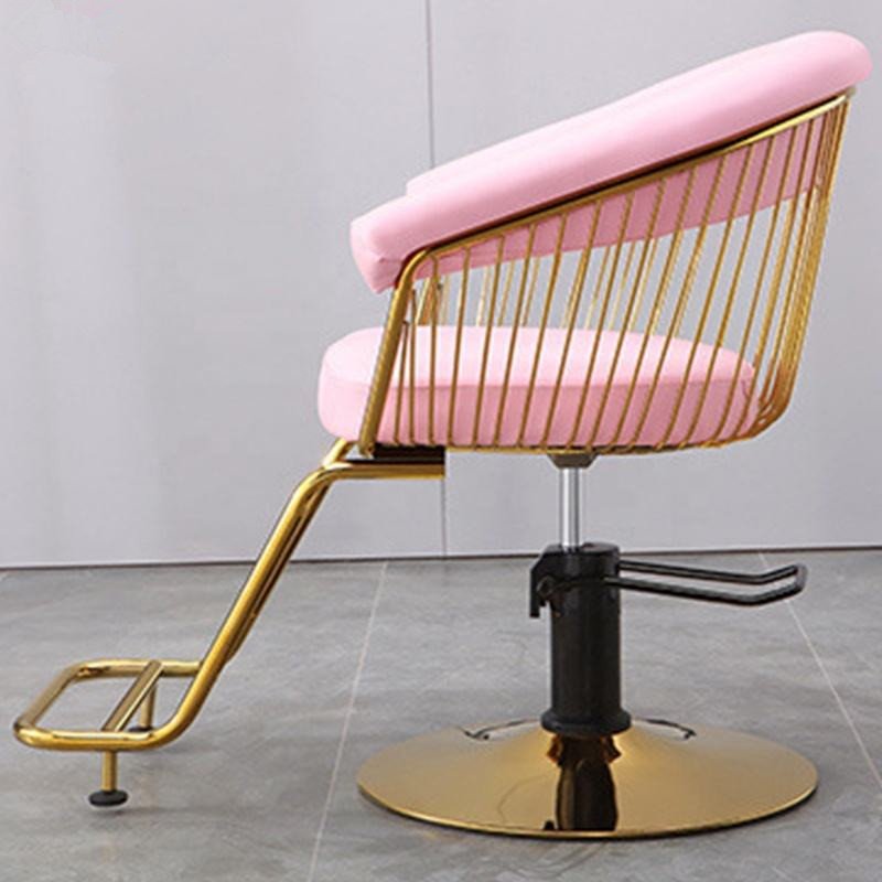 Hair Salon Equipment Beauty Salon Furniture Luxury Style Beauty Barber Chairs