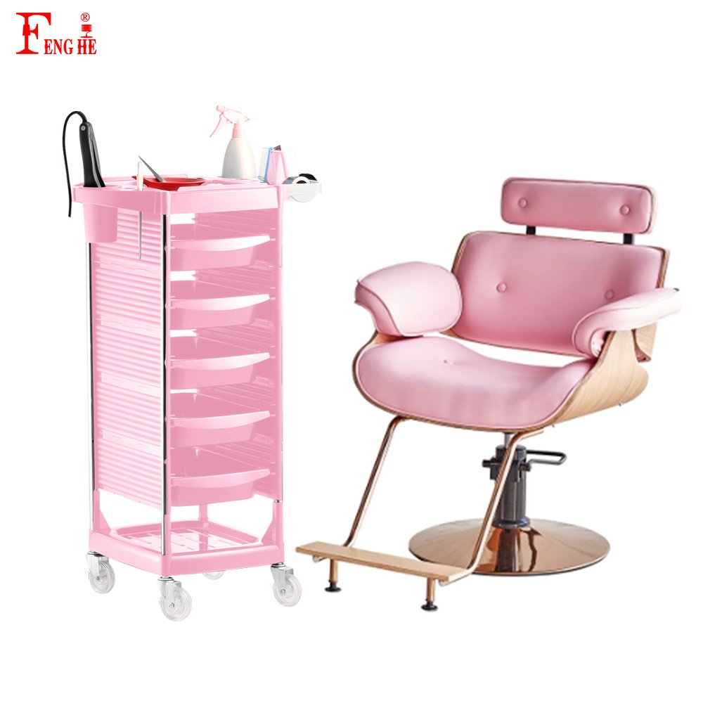 Fenghe Wholesalers Comfortable Salon Chair Hair Pink Salon Furniture Set Salon Barber Chair