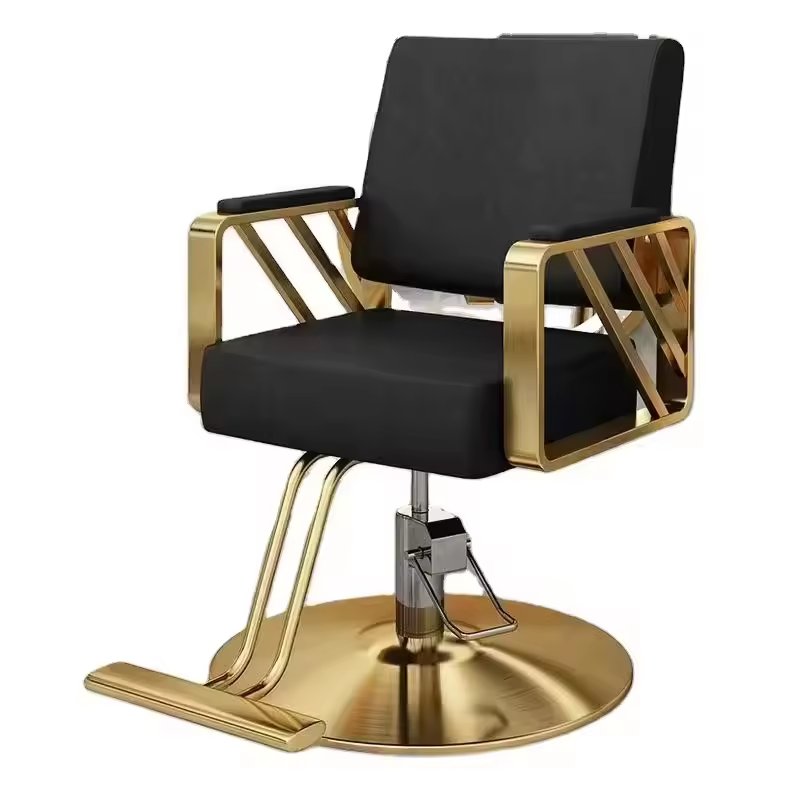 High Quality Multifunctional Beauty Salon Chair for Hair Salon Barber Shop Home Bar Workshop & Laundry Use