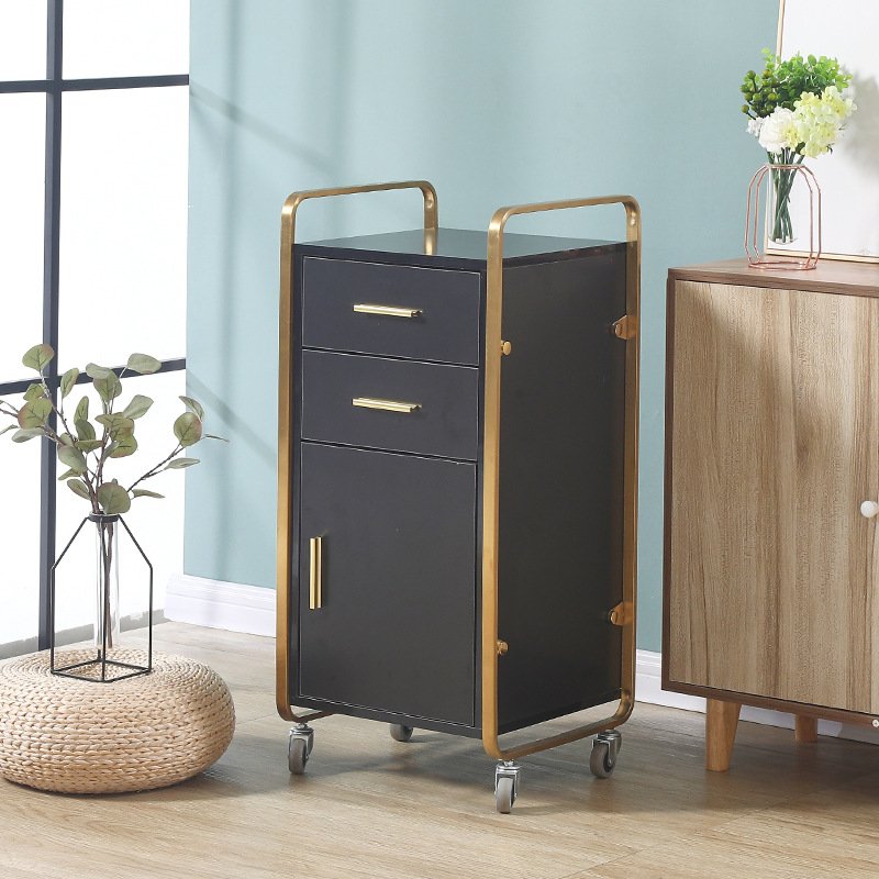 Beauty salon special tool cabinet with drawer multi-layer rack cabinet trolley ZY-810