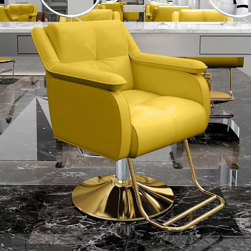 Whole network new fashion chair simple light luxury can lift salon chair