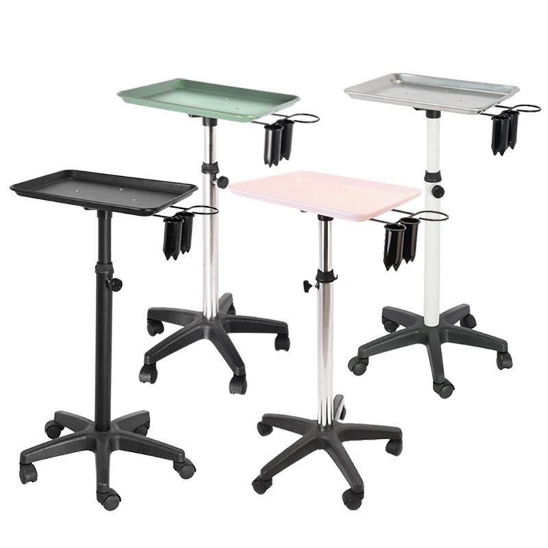 Tattoo Tray with Wheels, Aluminum Instrument Salon Tray Dental Tray with Adjustable Height,Easy Assembled Salon Rolling Cart