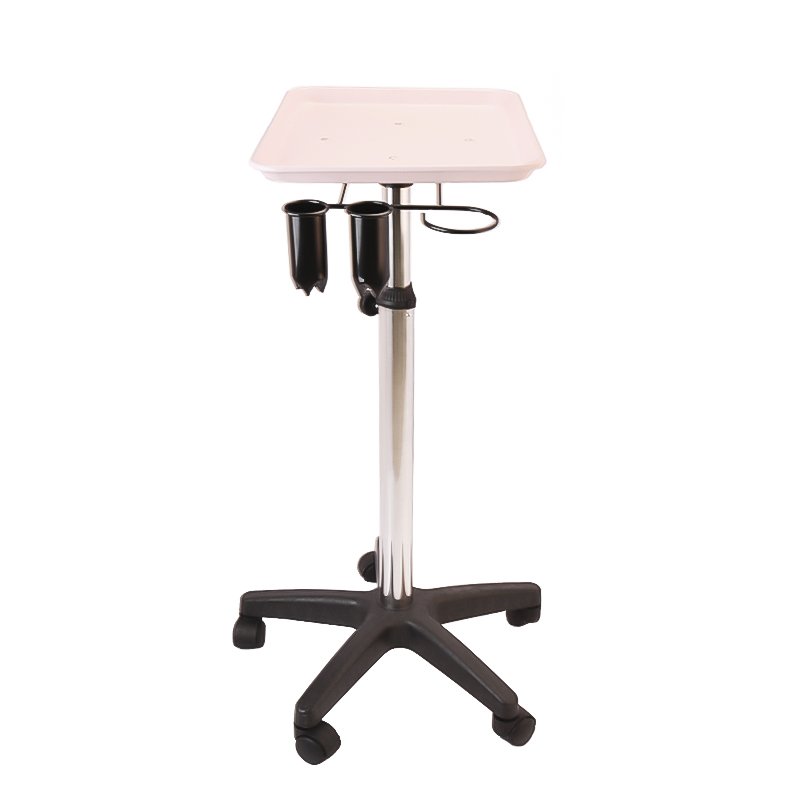 Tattoo Tray with Wheels, Aluminum Instrument Salon Tray Dental Tray with Adjustable Height,Easy Assembled Salon Rolling Cart