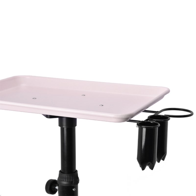 Heavy Duty Premium Aluminum Rolling Salon Tray Trolley Storage Cart with Wheels Storage Mental Dental Office Tattoos Trolley