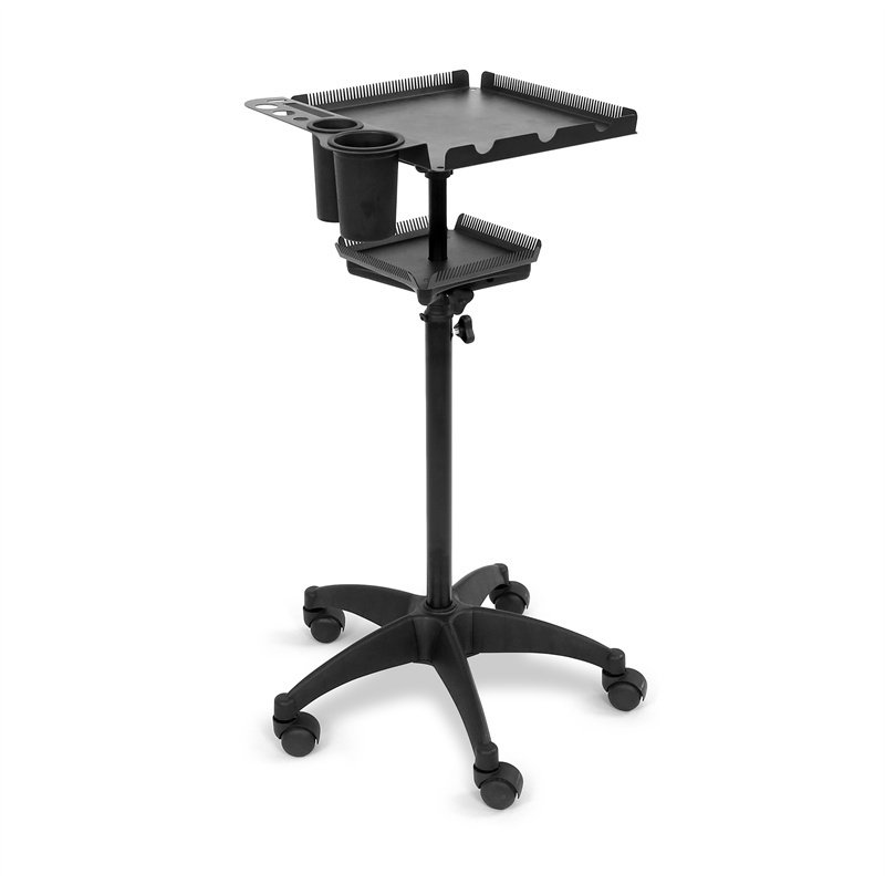 Fenghe Beauty Professional Hair extensions and dye stand for salon