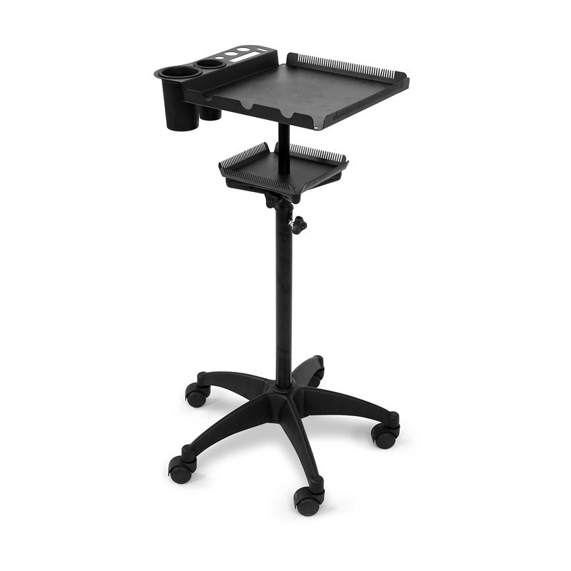 Fenghe Beauty Professional Hair extensions and dye stand for salon