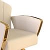 wholesale hair salon equipment cheap black barber chairs prices