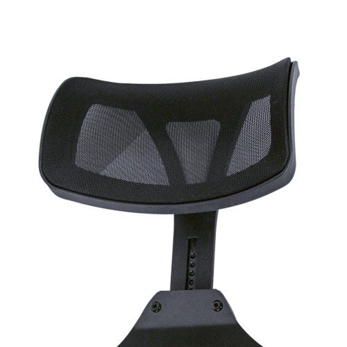 Professional Folding chair For Makeup Artist And Beauty Assignments & Training School Students With Head Pillow