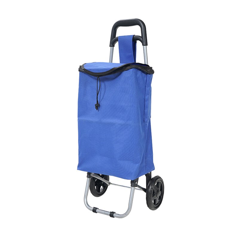 Oeytree Cheaper Supermarket Vegetable Foldable Trolley Shopping bags Portable Shopping Carts